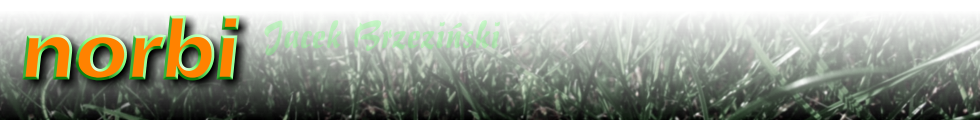 NORBI Jacek Brzeziński